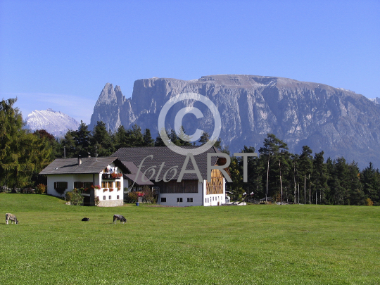 Bauernhof, Bergbauernhof, Schlern
