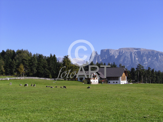 Bauernhof, Bergbauernhof, Schlern