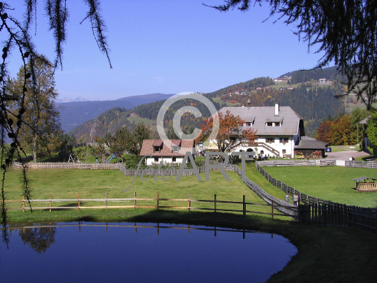 Bauernhof, Buschenschank