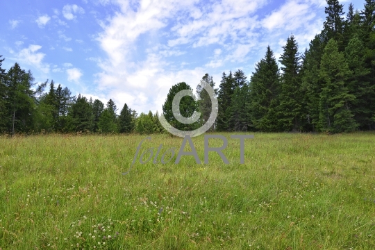 Berglandschaft