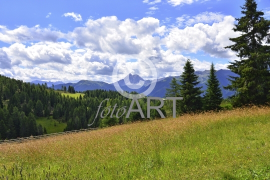 Berglandschaft