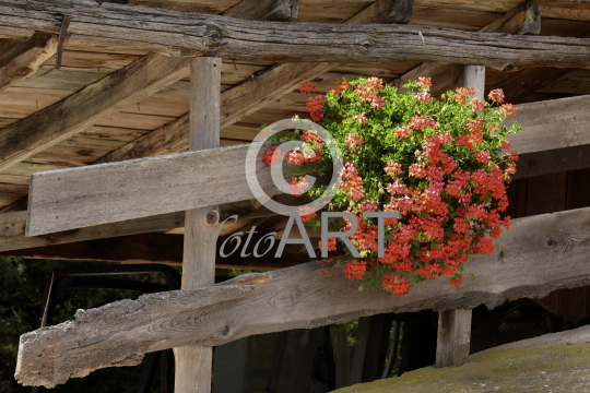 Blumenschmuck