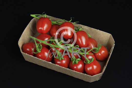Datterini