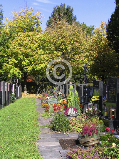 Friedhof