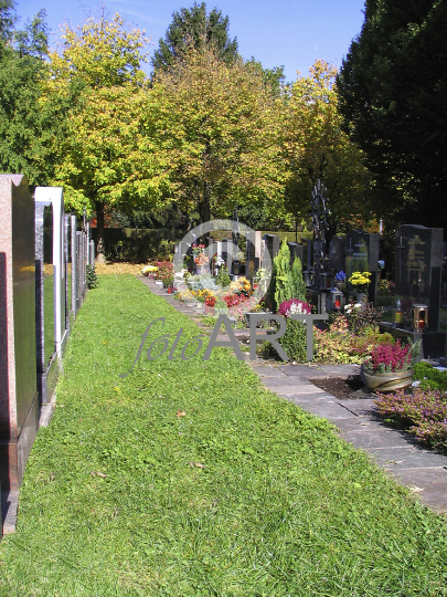 Friedhof