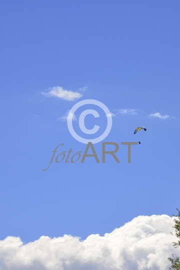 Gleitschirmflieger