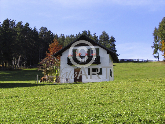 Haus im Grünen