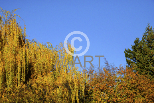 Herbstfarben