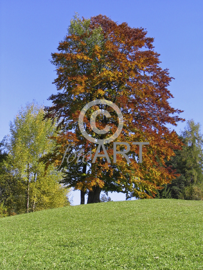 Herbstfarben