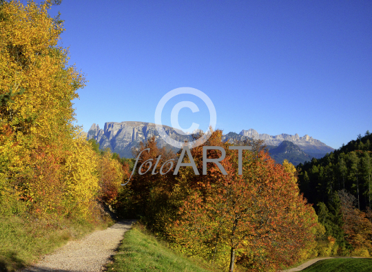 Herbstpanorama am Ritten