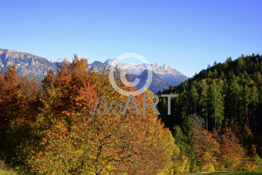 Herbstwald