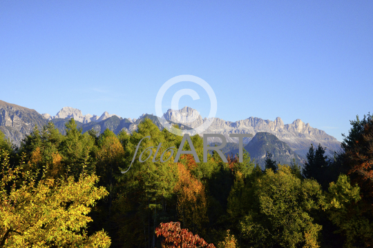 Herbstwald mit Rosengarten
