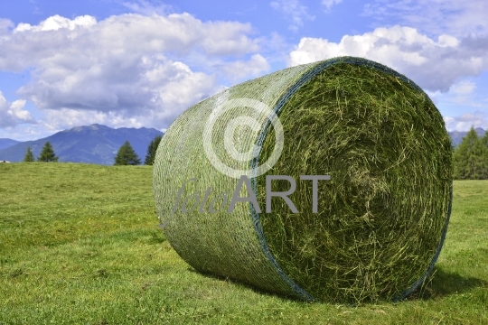 Heuballen