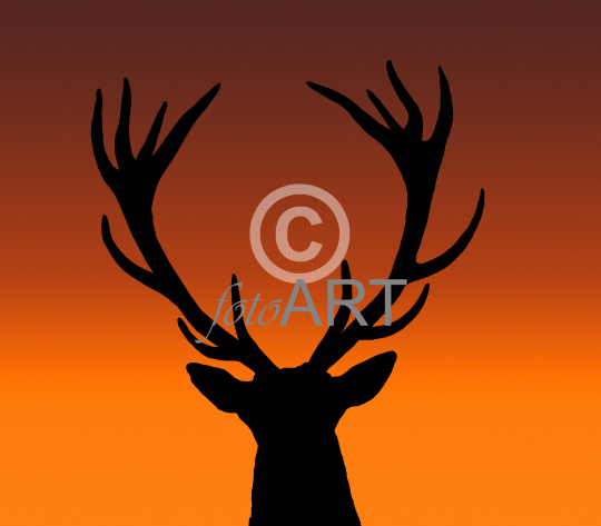 Hirsch-Silhouette