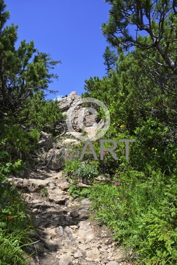 Hochalpiner Wanderweg