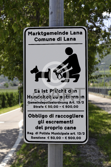 Hundekot entfernen