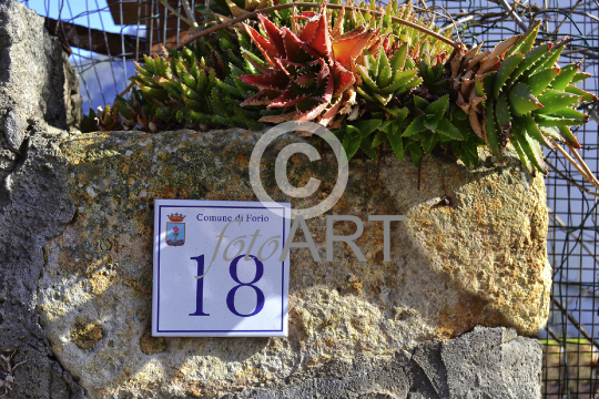 Impressionen aus Ischia