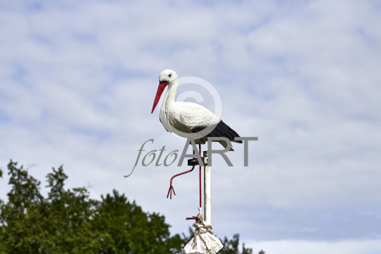 Klapperstorch