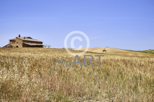 Landschaft Toskana