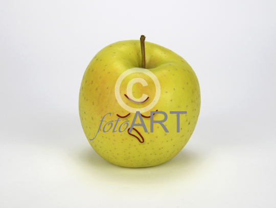 Leicht erbost