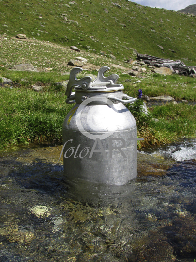 Milch wassergekühlt