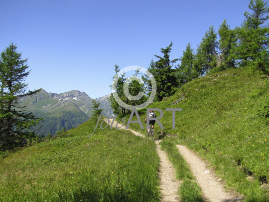 Mountainbiker