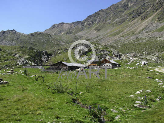 Panauder Alm