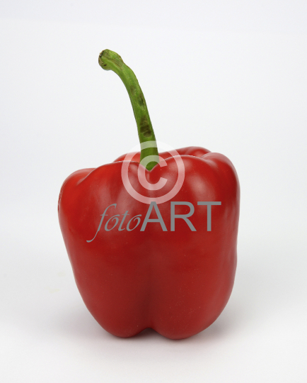 Peperoni rot