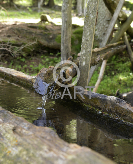 Quellwasser