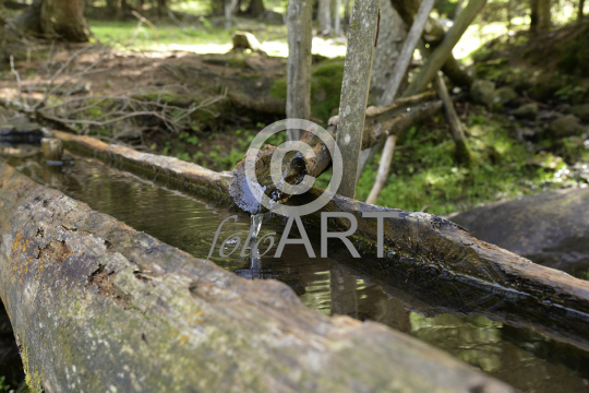 Quellwasser