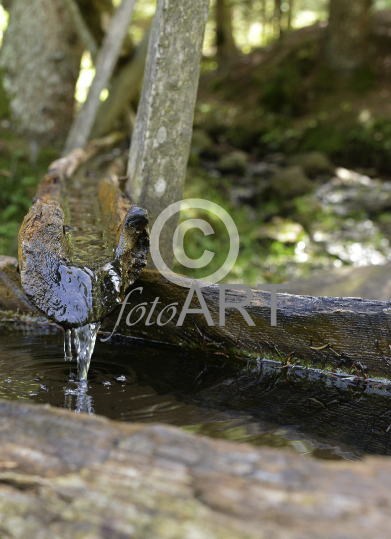 Quellwasser
