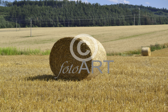 Strohballen