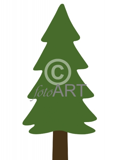 Tannenbaum – Illustration