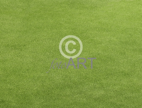 Textur - Rasen