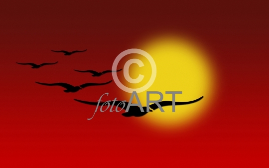 Vögel vor Sonne