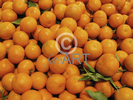 Viktualienmarkt München: Clementine