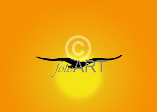 Vogel vor Sonne