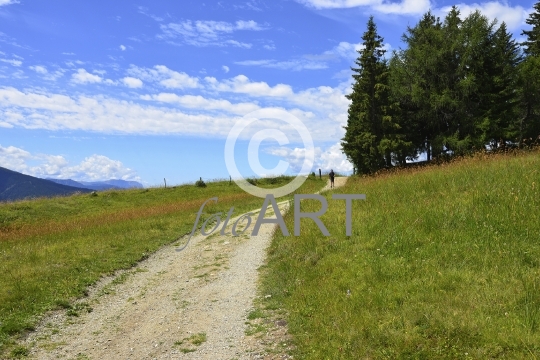 Wandern