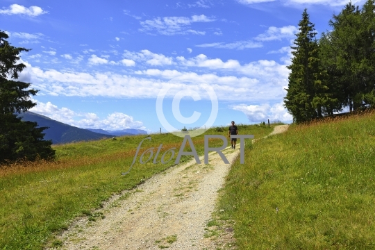 Wandern