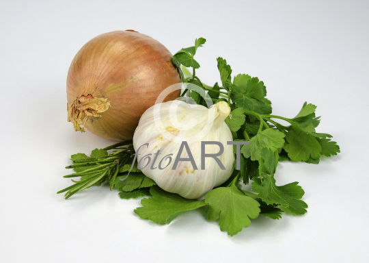Zwiebel und Knoblauch