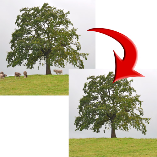 Retuschen Symbolbild